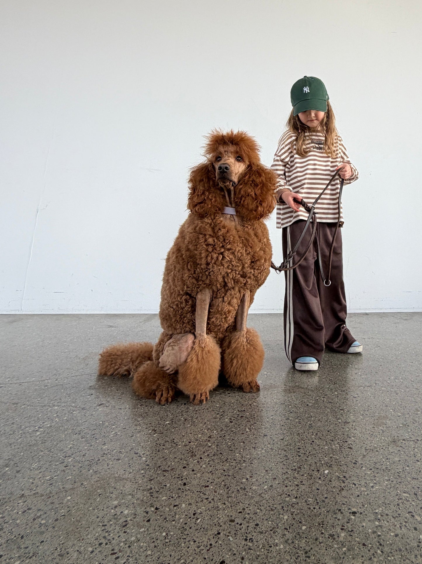 Harvey Pants Brown