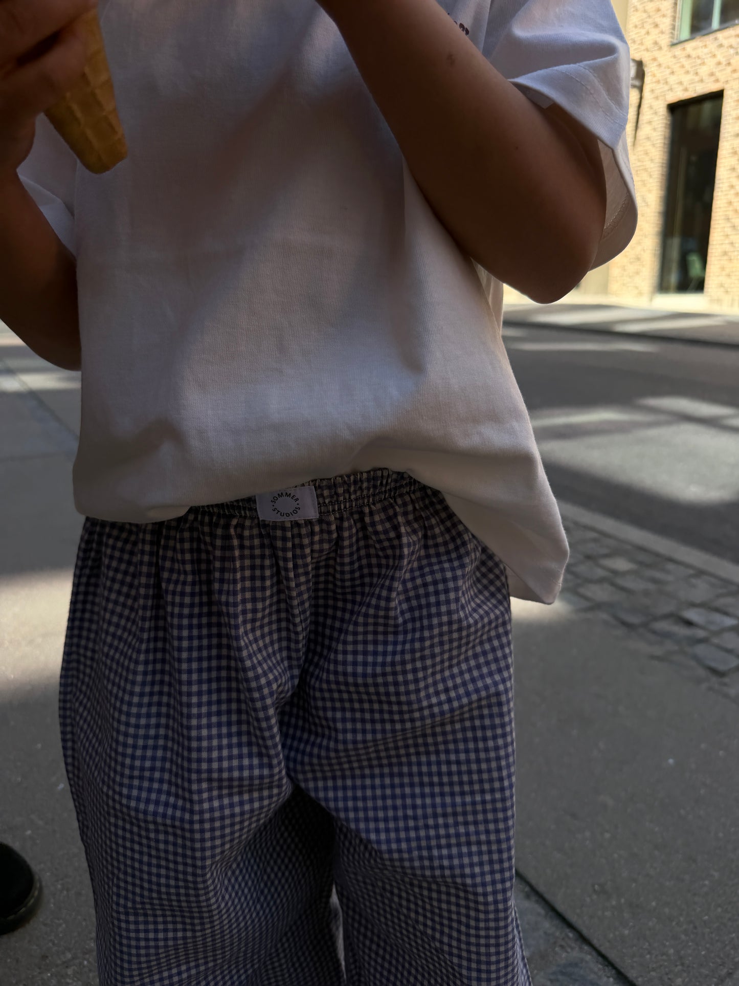 Rio Pants Checked